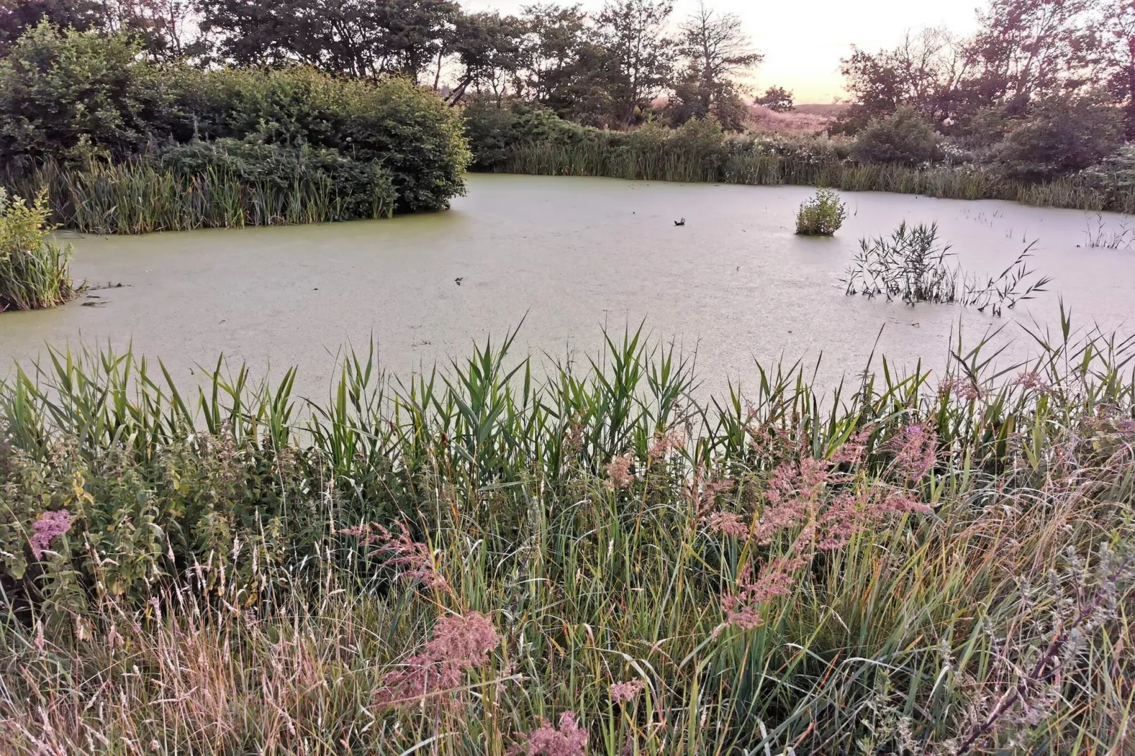 6 persoons vakantie huis in Frederikshavn-By Traum-Waterzicht