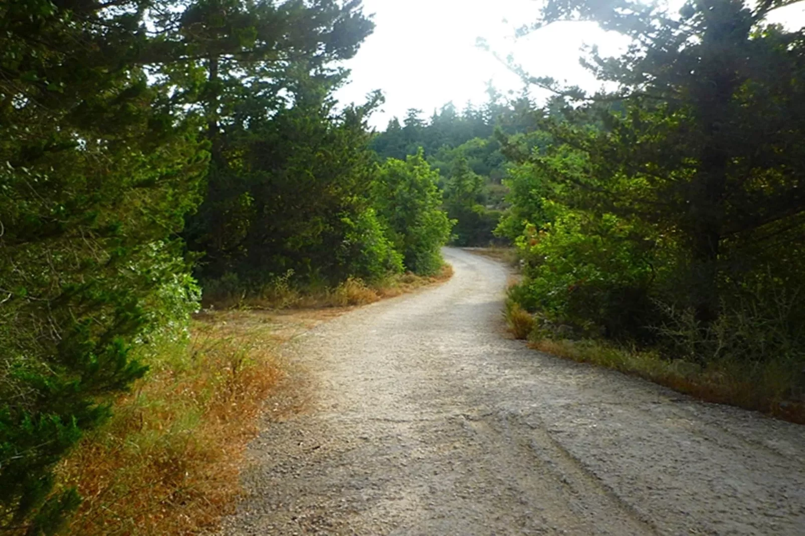 Heliopetra Studio-Gebieden zomer 5km