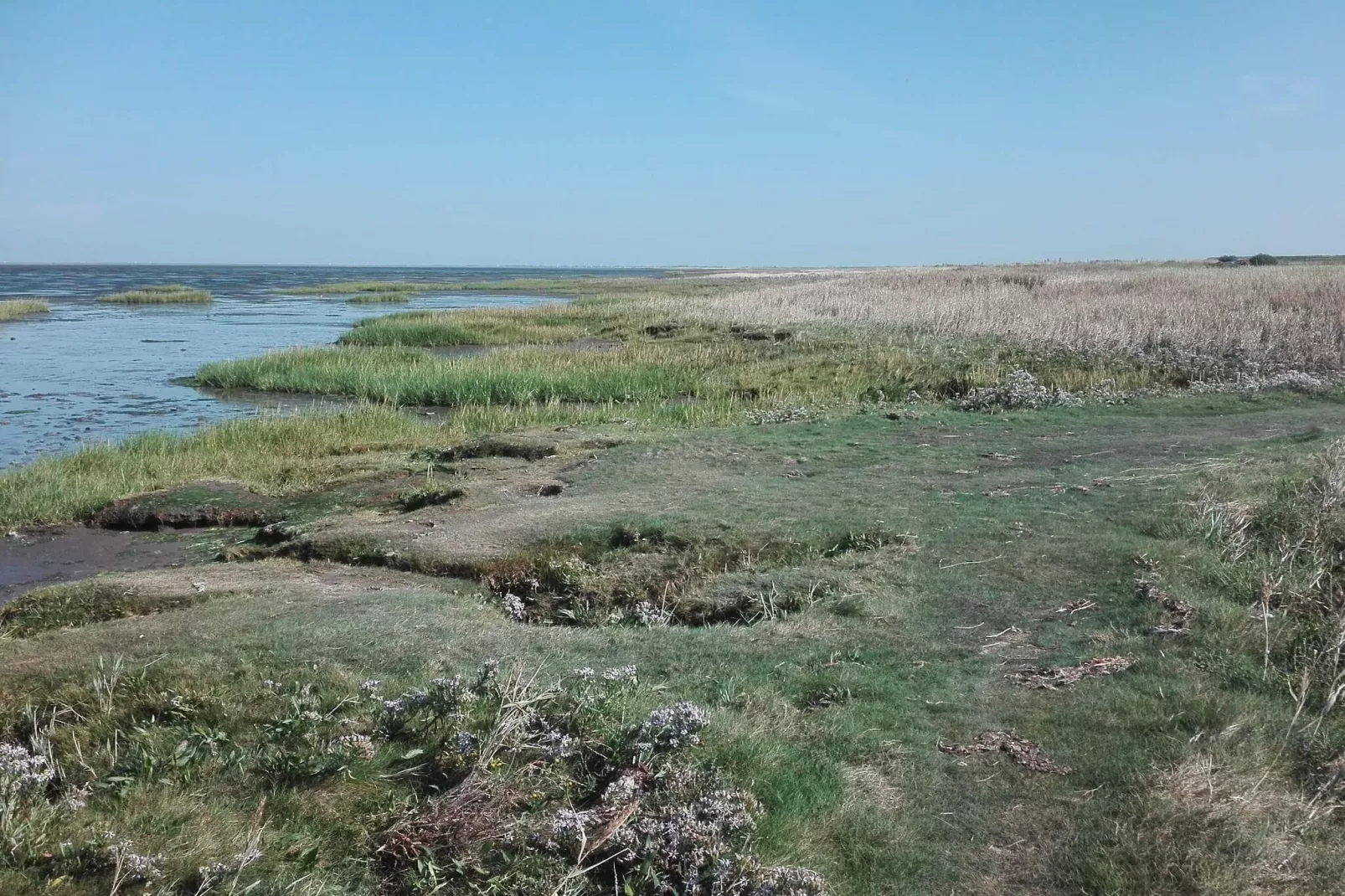 7 persoons vakantie huis in Bredebro-By Traum-Waterzicht