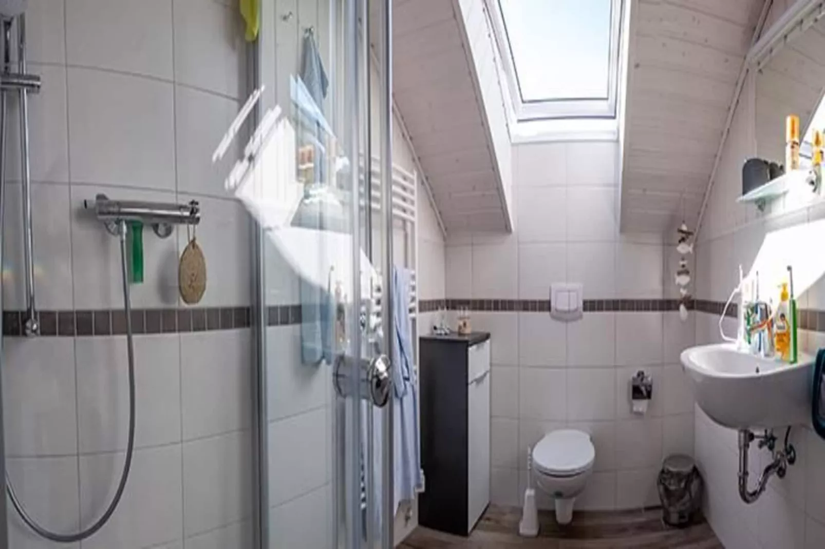 Wildgans Classic 250-Badkamer