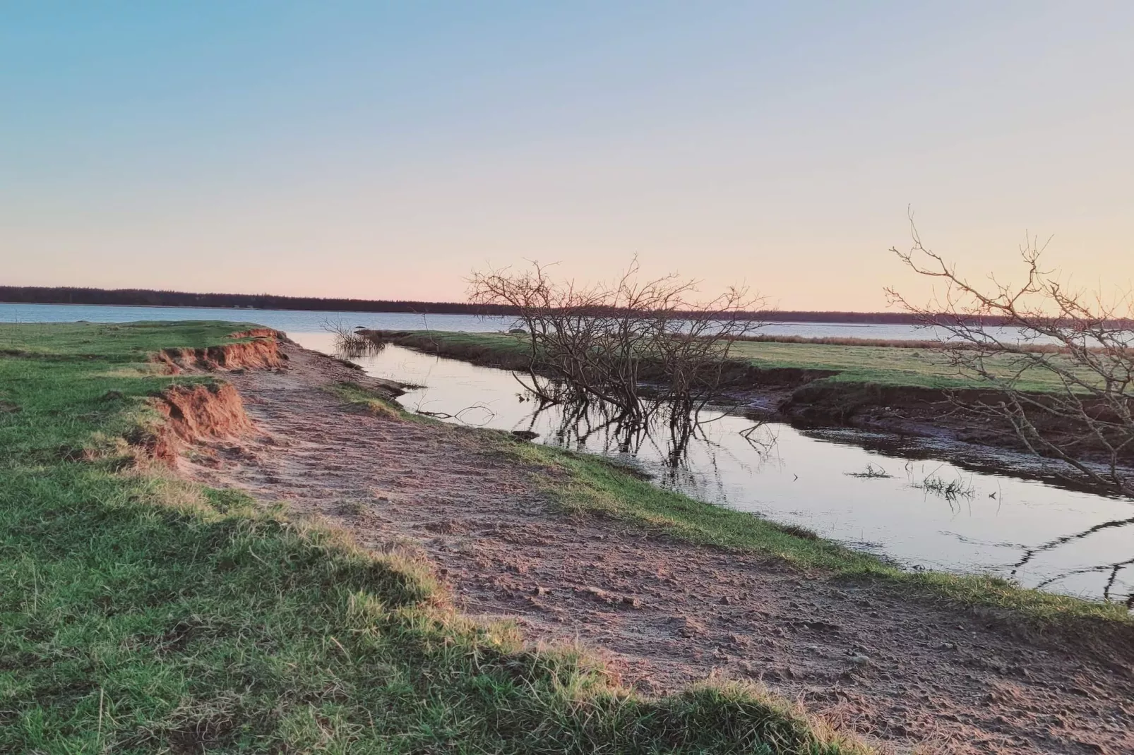 6 persoons vakantie huis in Oksbøl-Waterzicht