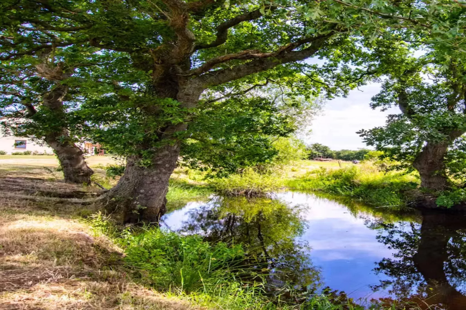 High Cloud Farm & Barn-Gebieden zomer 1km
