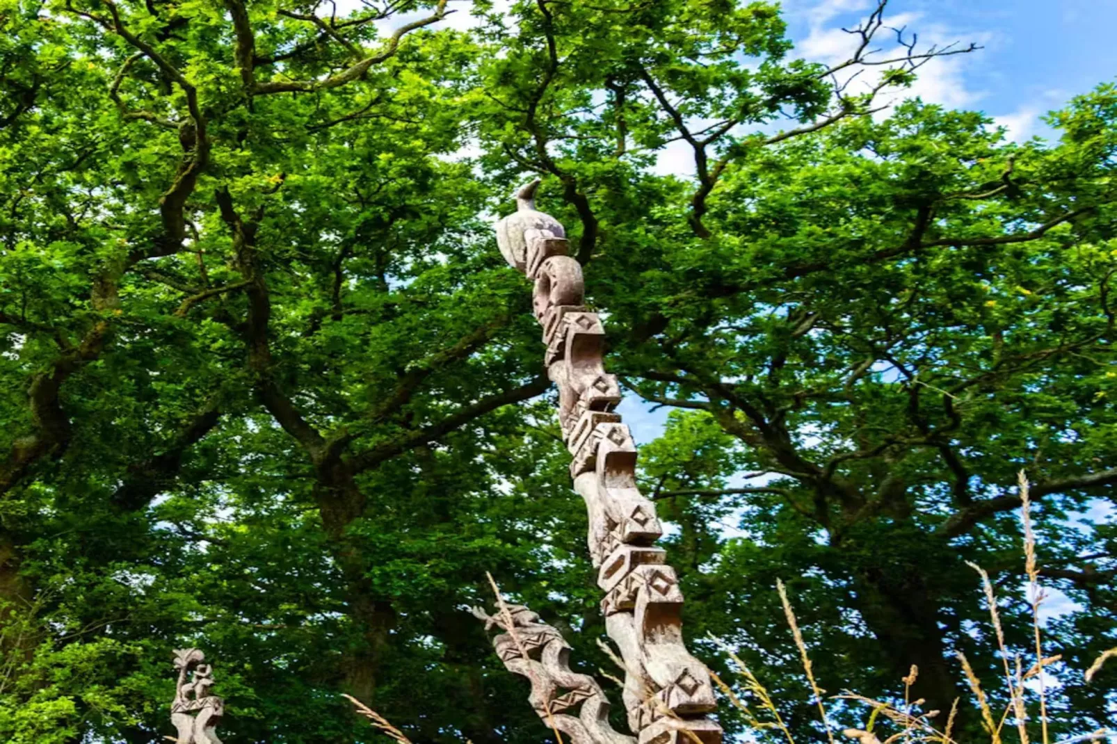 High Cloud Farm & Barn-Gebieden zomer 1km