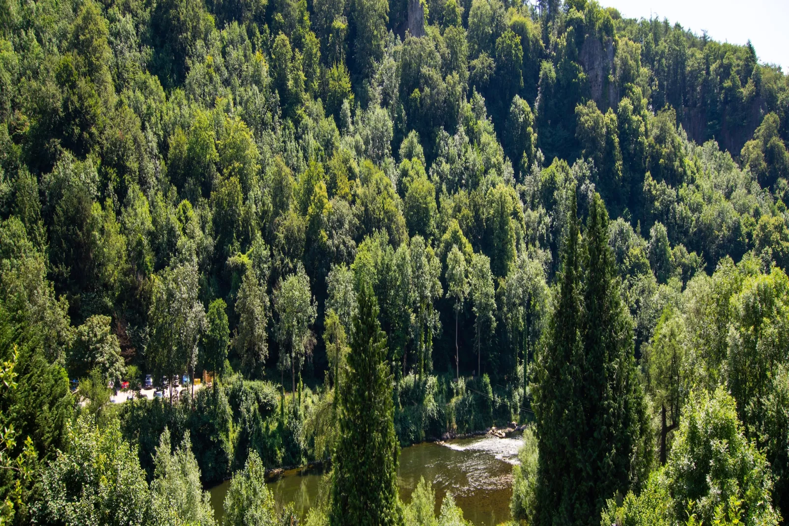 Holly Tree House-Uitzicht zomer