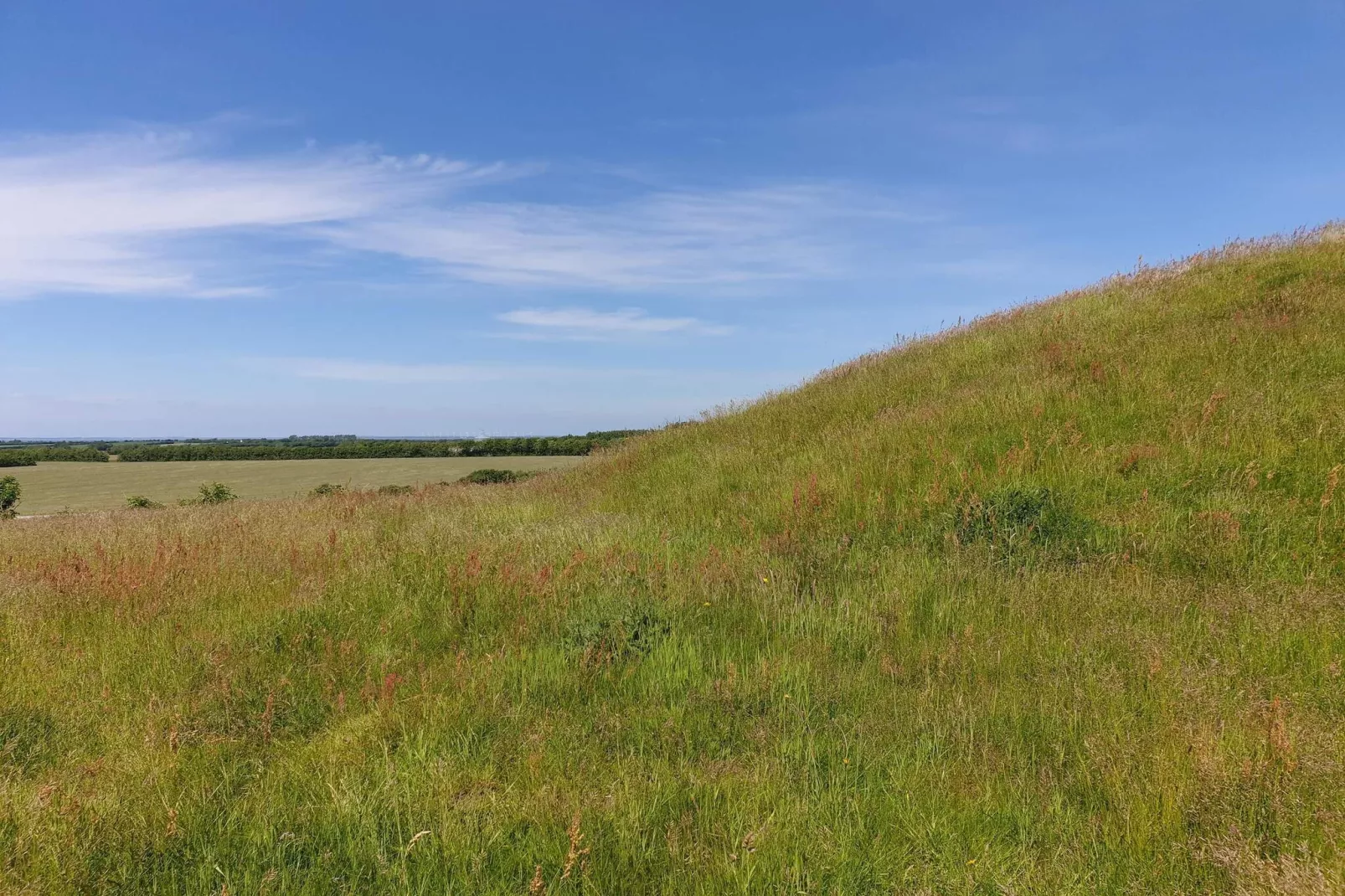 10 persoons vakantie huis in Ranum