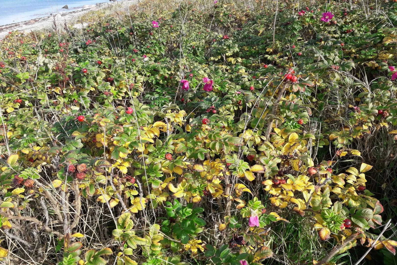 Sfeervolle huisje in de natuur -- By Traum Ferienwohnungen-Niet-getagd