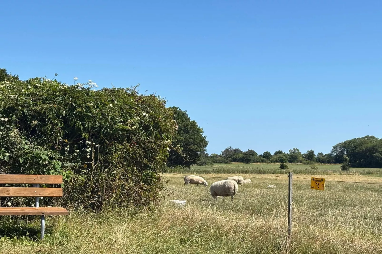 Gezellig toevluchtsoord met sauna -- By Traum Ferienwohnungen