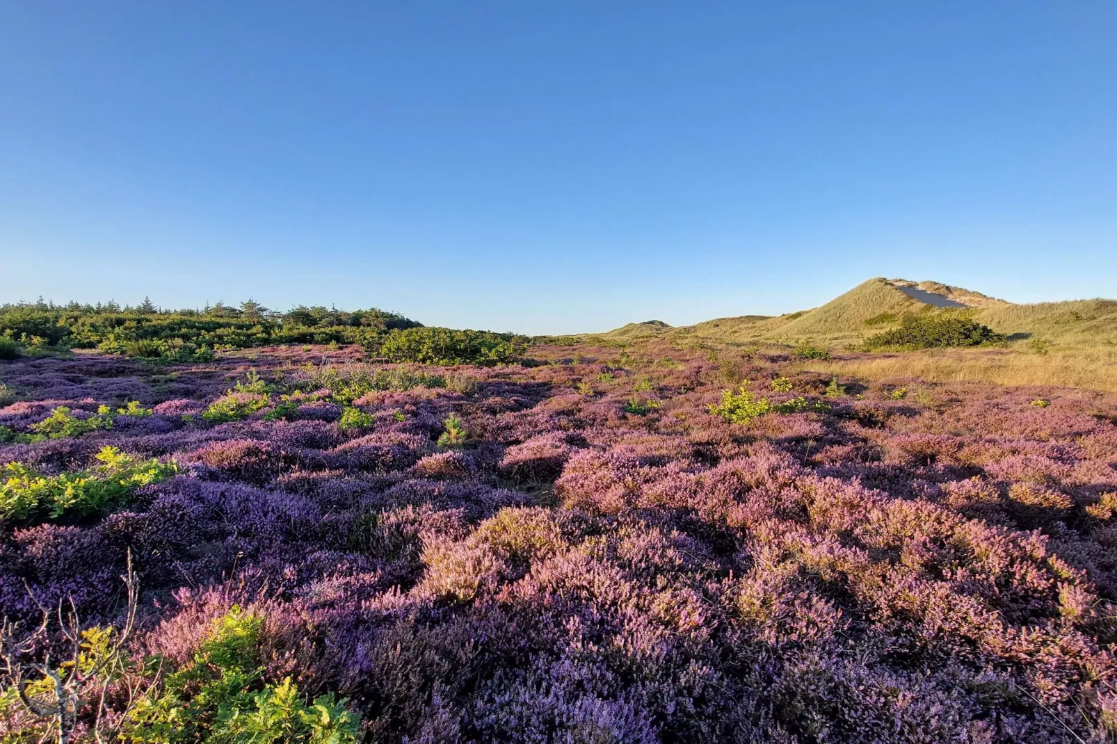 Kust ontsnapping in Ho -- By Traum Ferienwohnungen-Niet-getagd