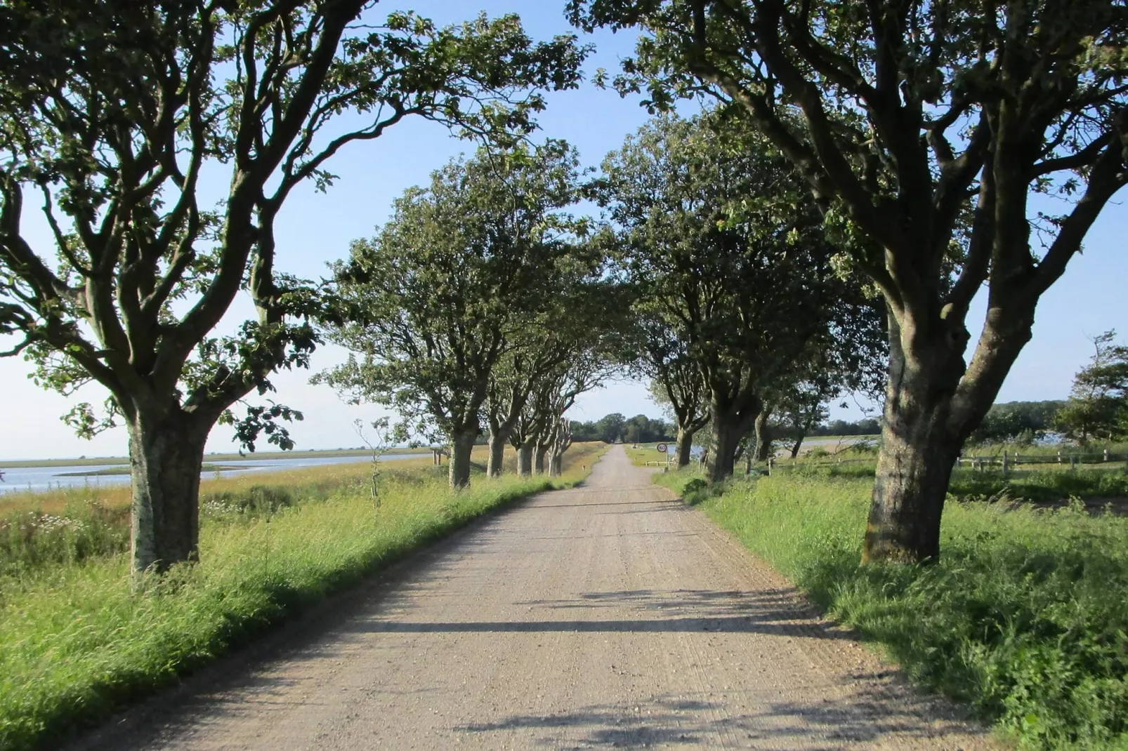 4 persoons vakantie huis in Bogense-By Traum