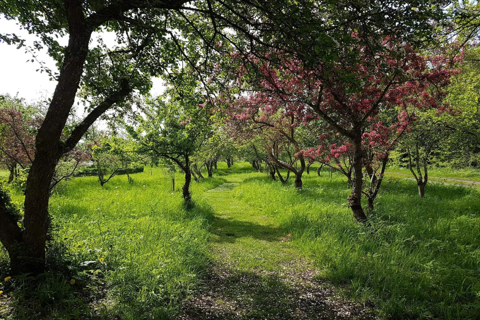 5 persoons vakantie huis in Sæby-By Traum-Niet-getagd