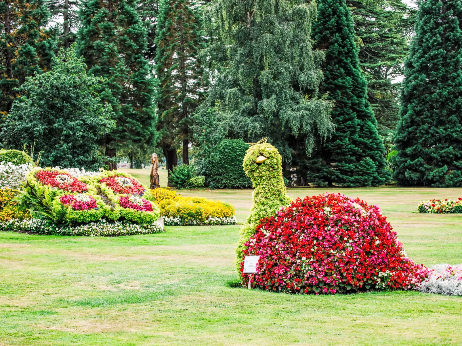 Varis Haven-Omgeving