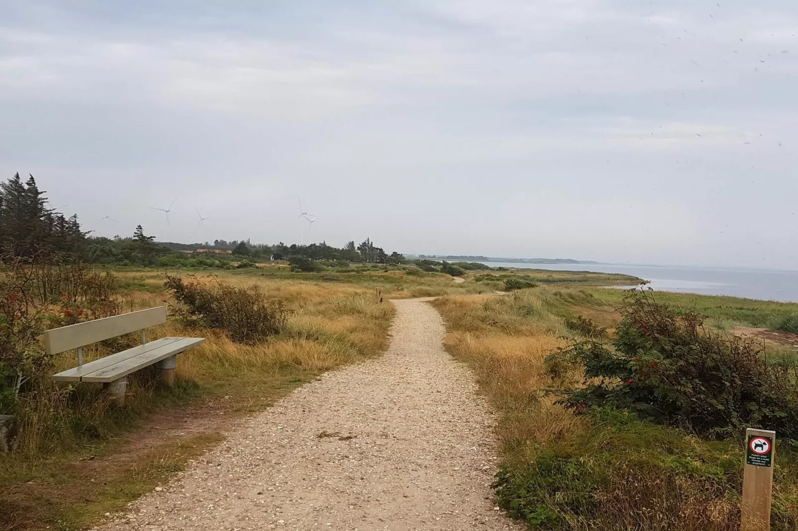 Rustig strandverblijf-By Traum