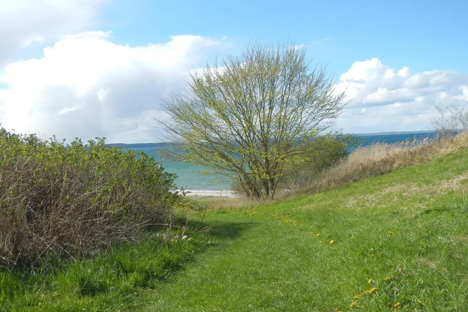 6 persoons vakantie huis in Brenderup Fyn-By Traum-Niet-getagd