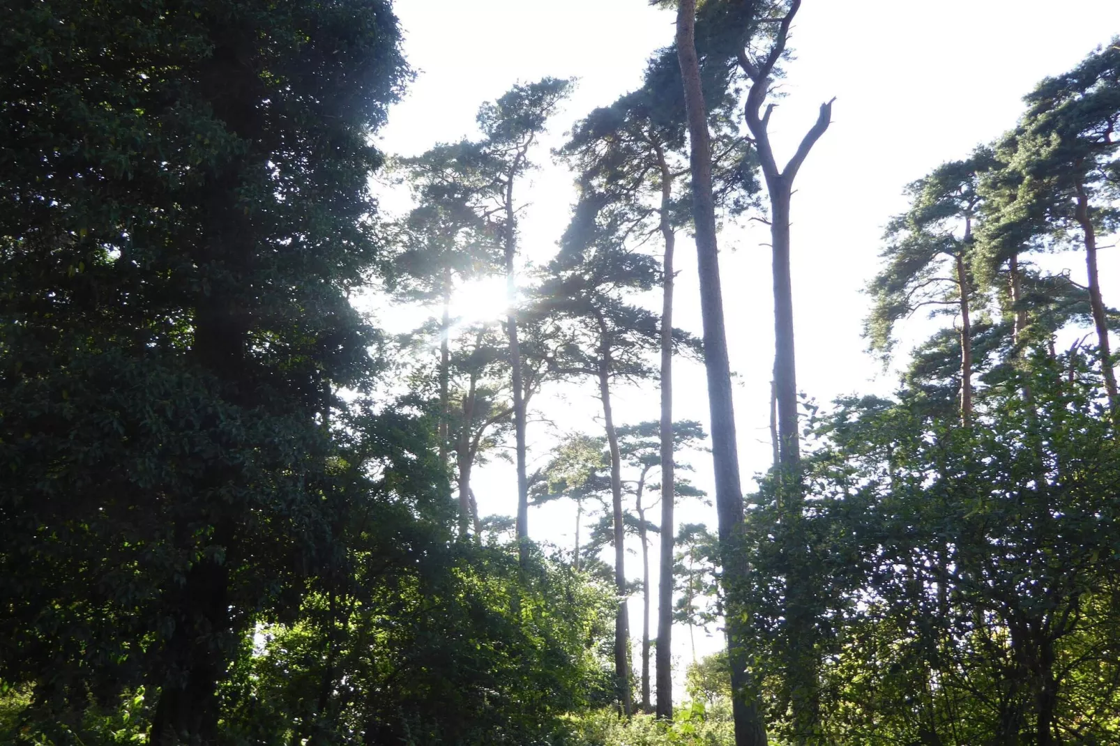 4 persoons vakantie huis in Bogense-By Traum