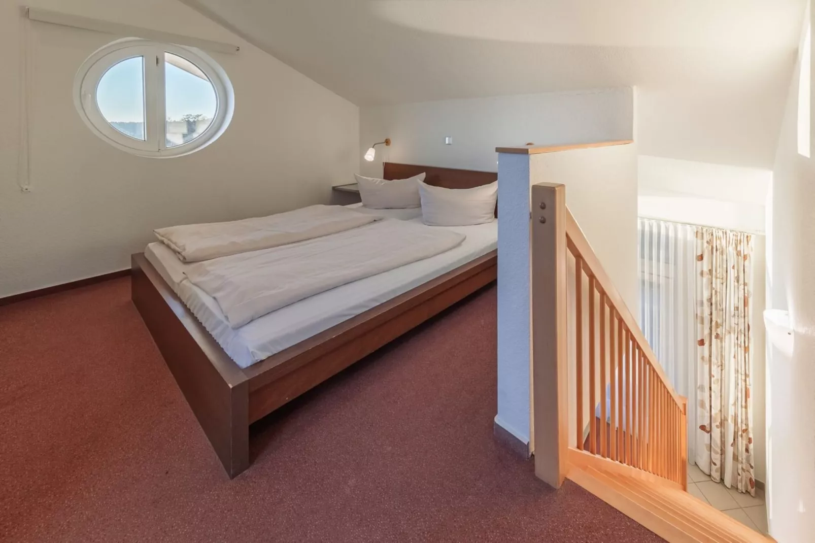 Eisvogel Classic 217