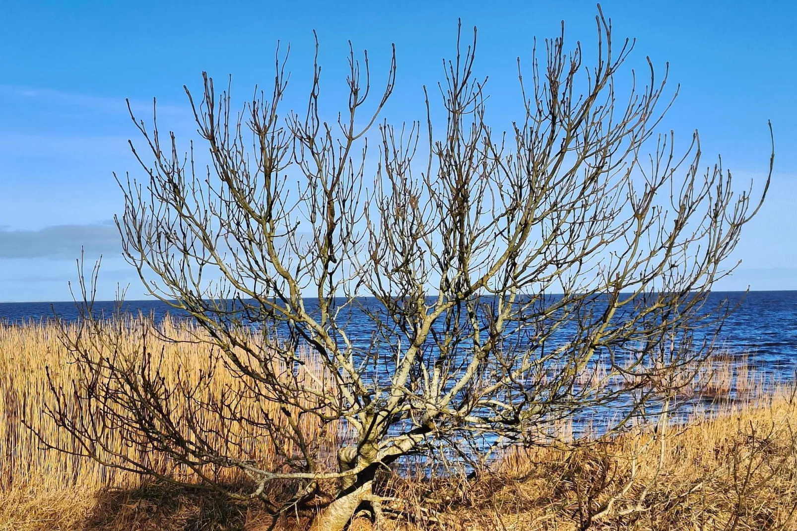 Rustig strandverblijf-By Traum