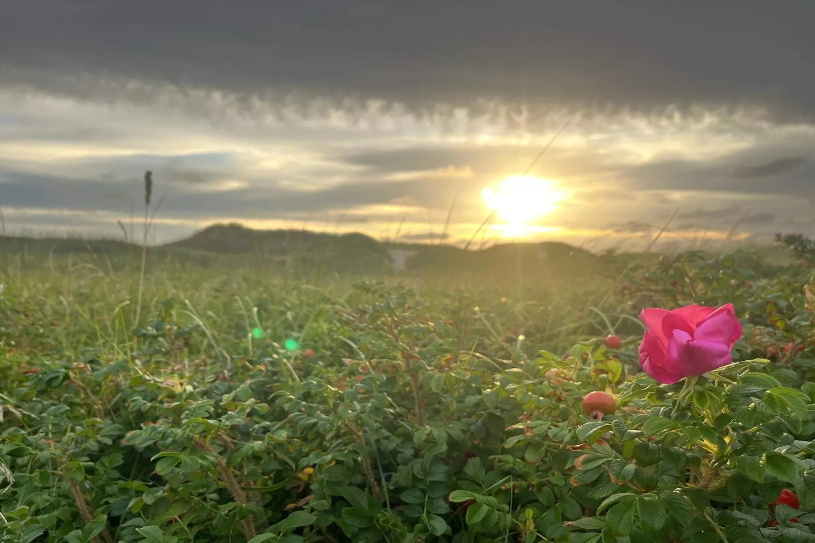 Kust ontsnapping in Ho -- By Traum Ferienwohnungen-Niet-getagd