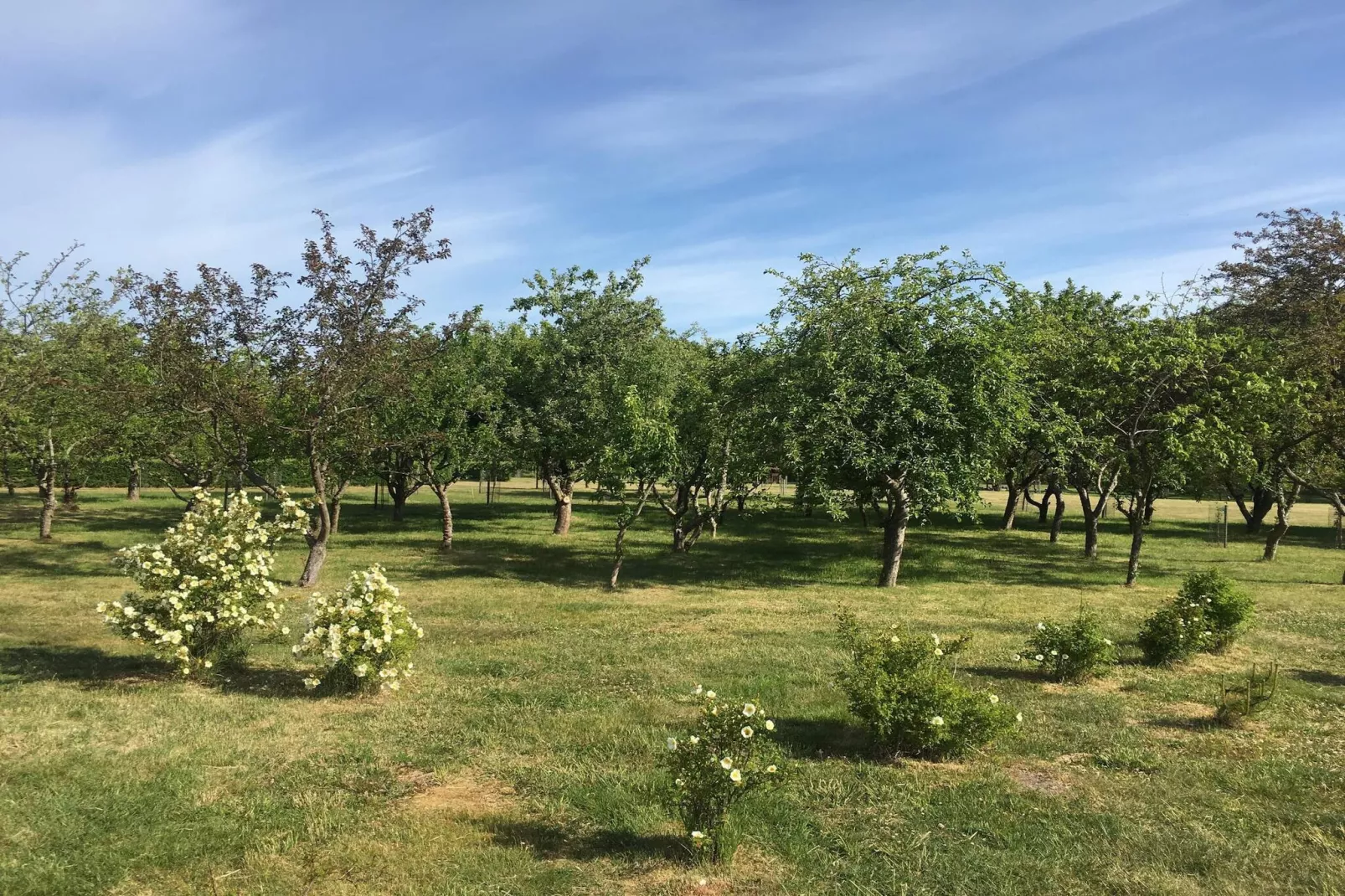 6 persoons vakantie huis in Sæby-By Traum