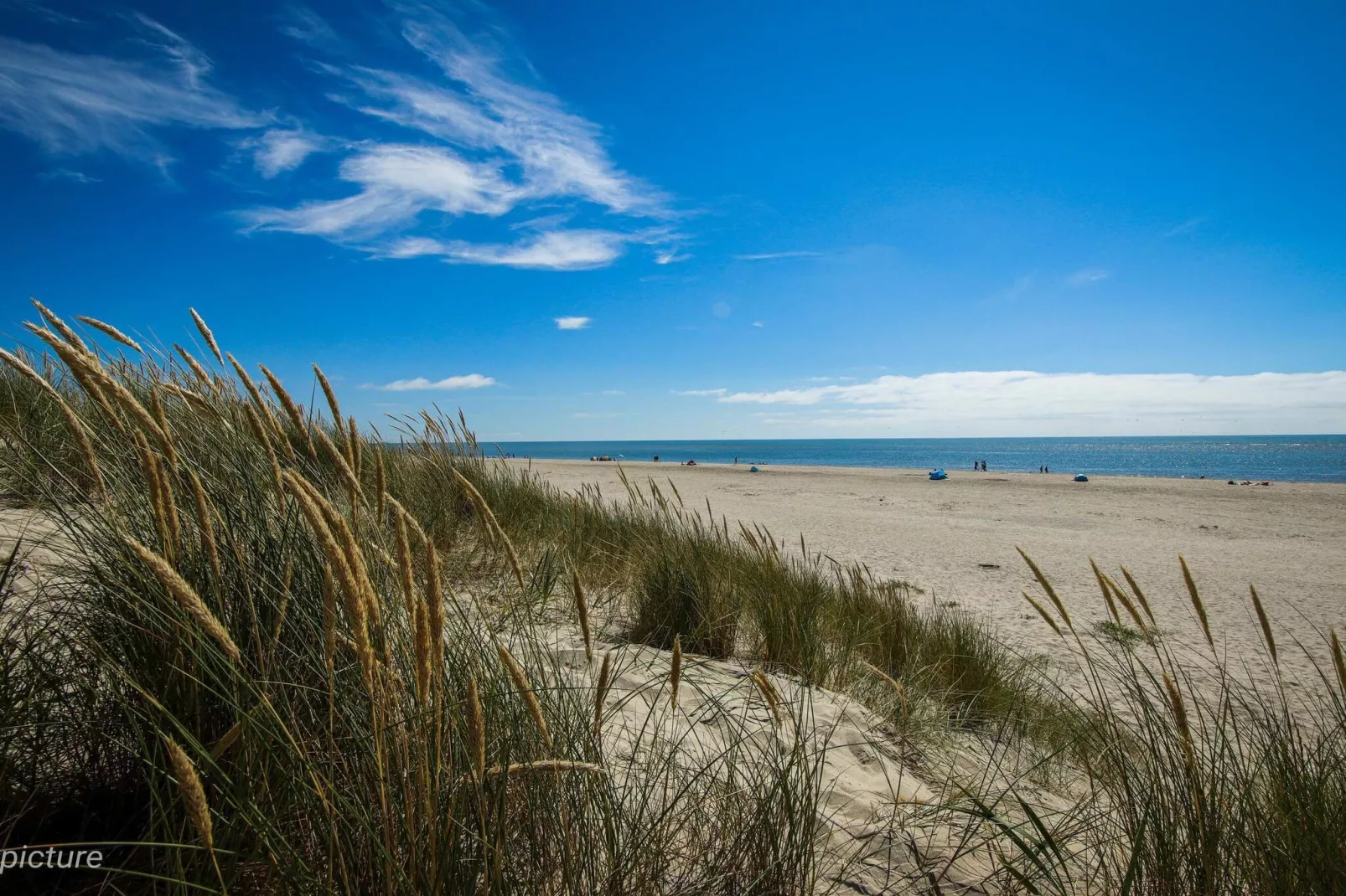 4 persoons vakantie huis in Blåvand