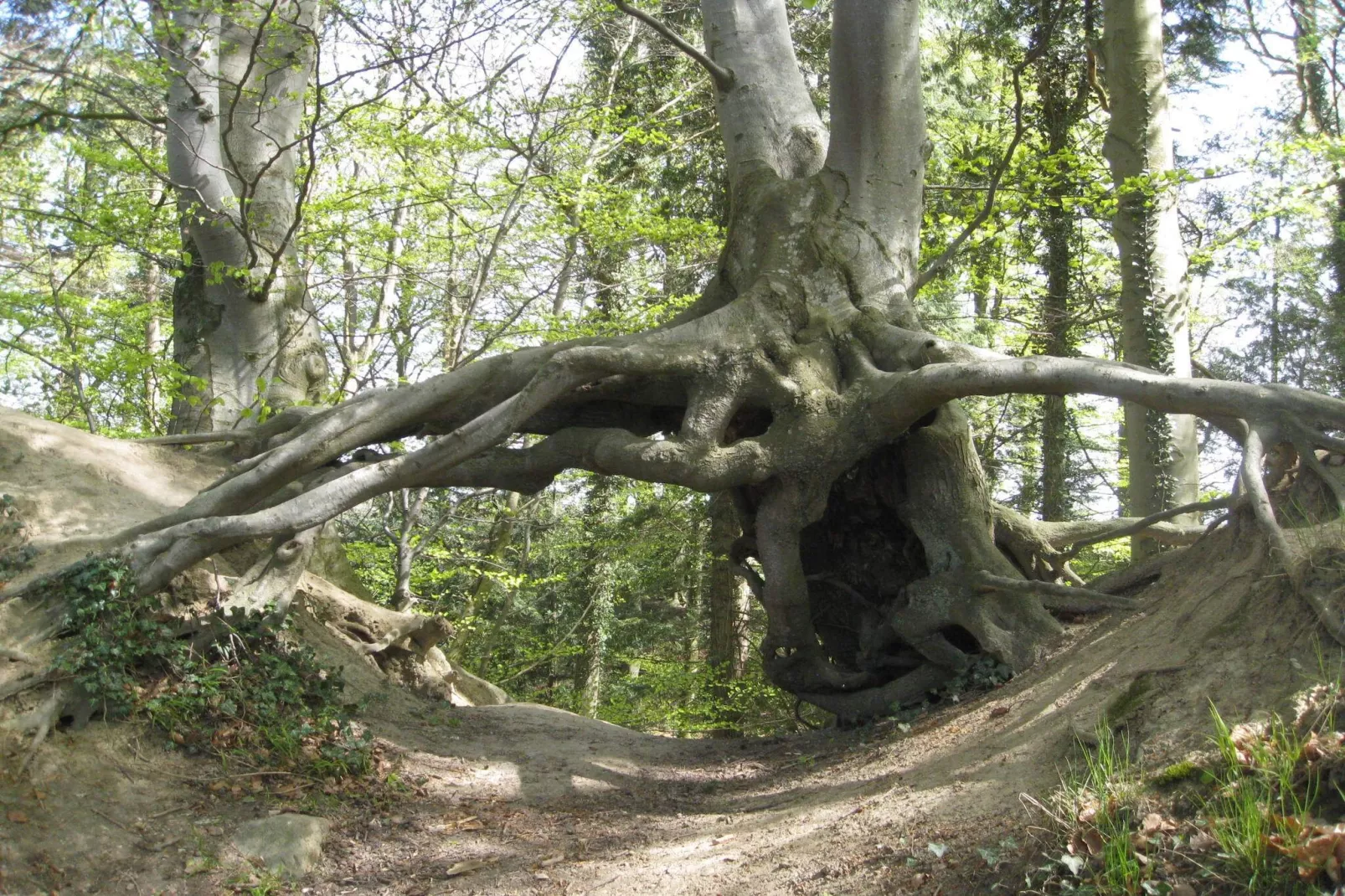 4 persoons vakantie huis in Vordingborg-By Traum-Niet-getagd