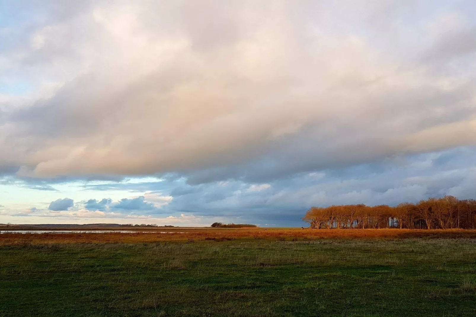 4 persoons vakantie huis in Bogense-By Traum-Niet-getagd