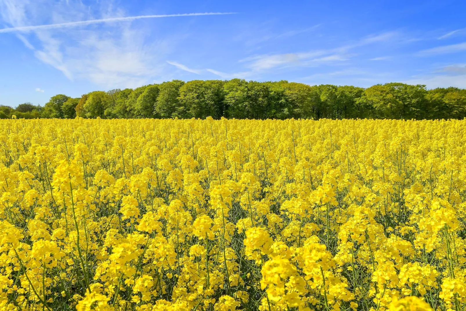 5 persoons vakantie huis in Sæby-By Traum-Niet-getagd