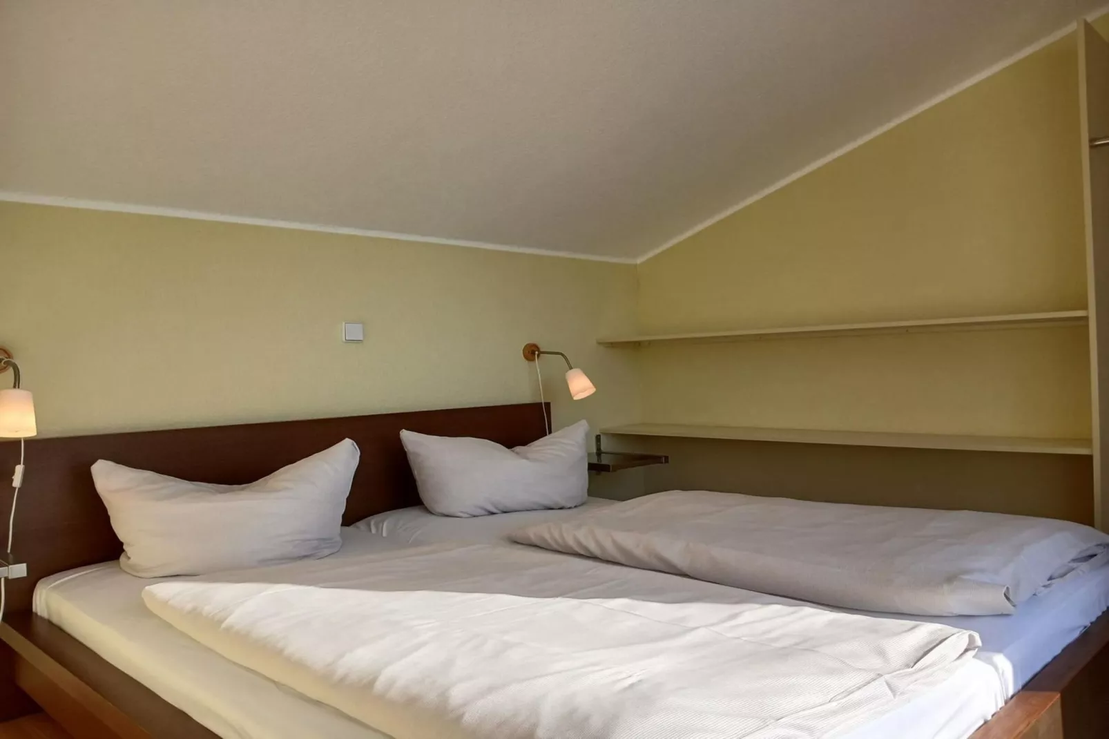 Eisvogel Classic 301