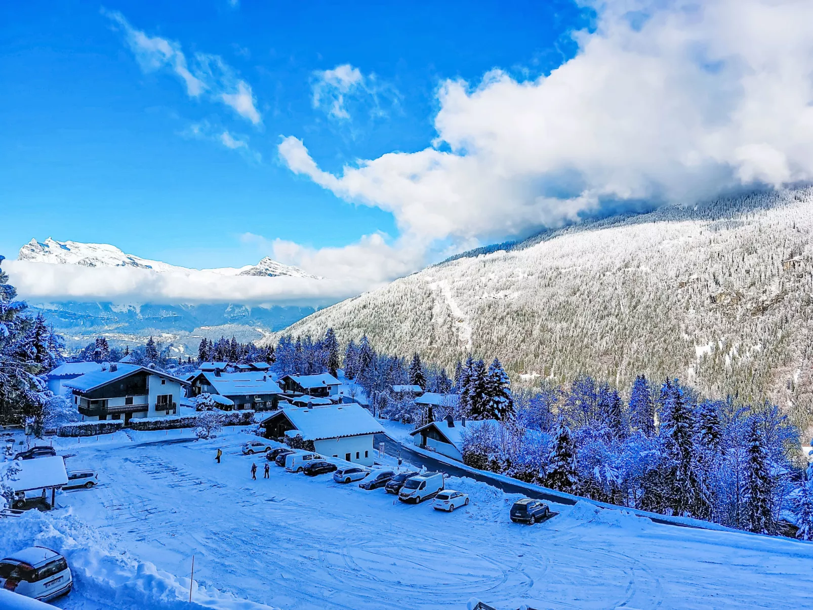 L'aiguille noire-Buiten