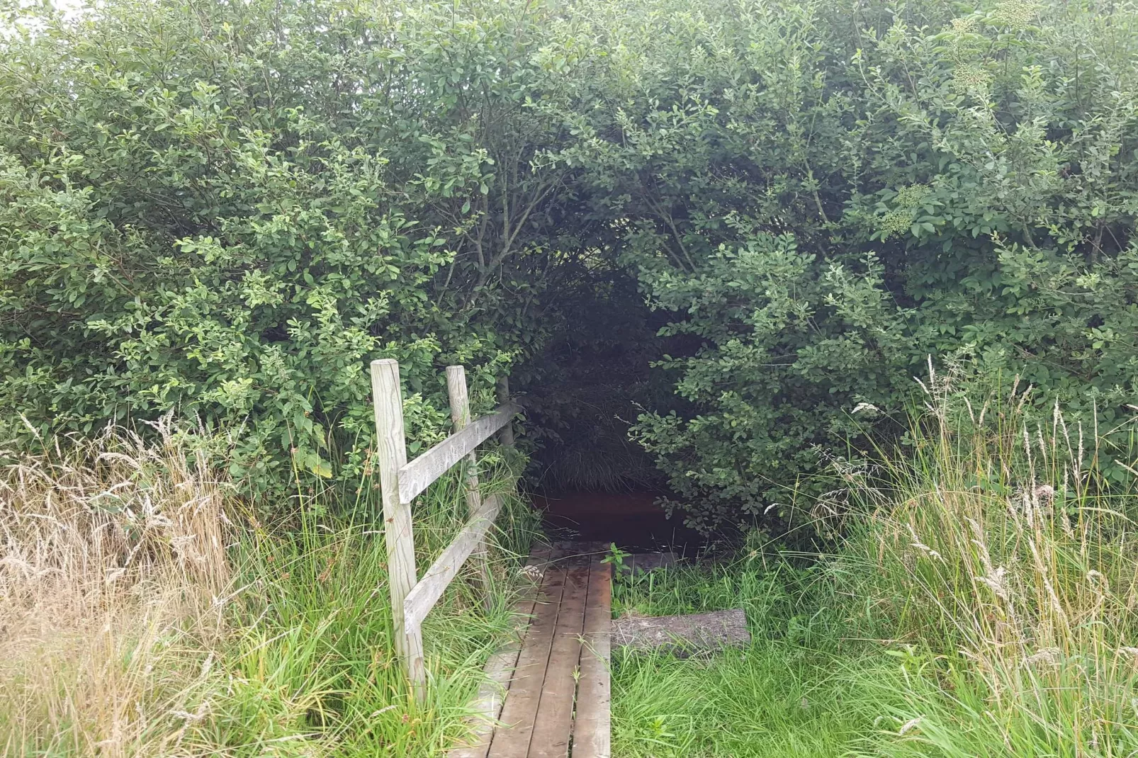 8 persoons vakantie huis in Oksbøl-Niet-getagd