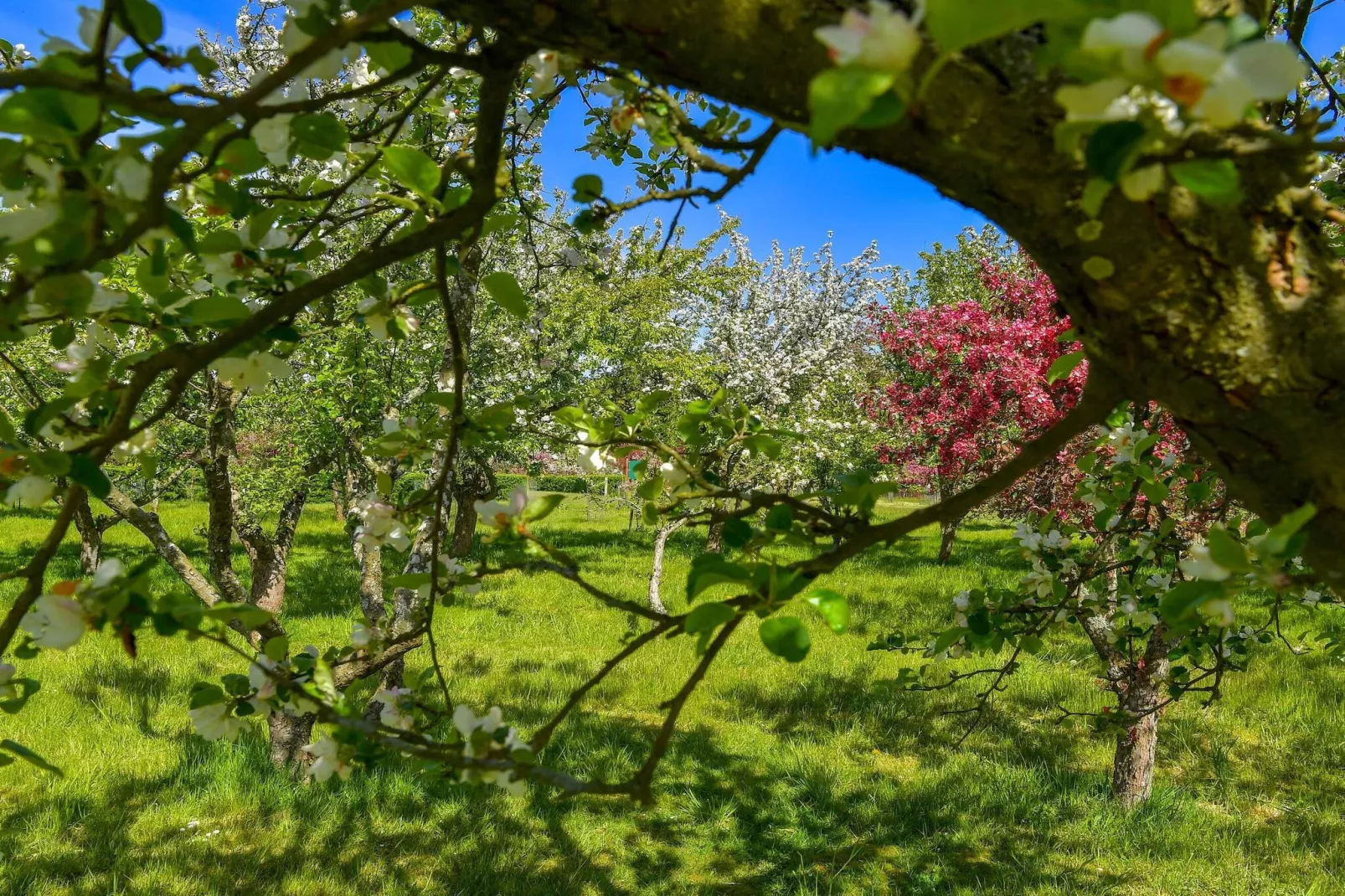 6 persoons vakantie huis in Sæby-By Traum-Niet-getagd