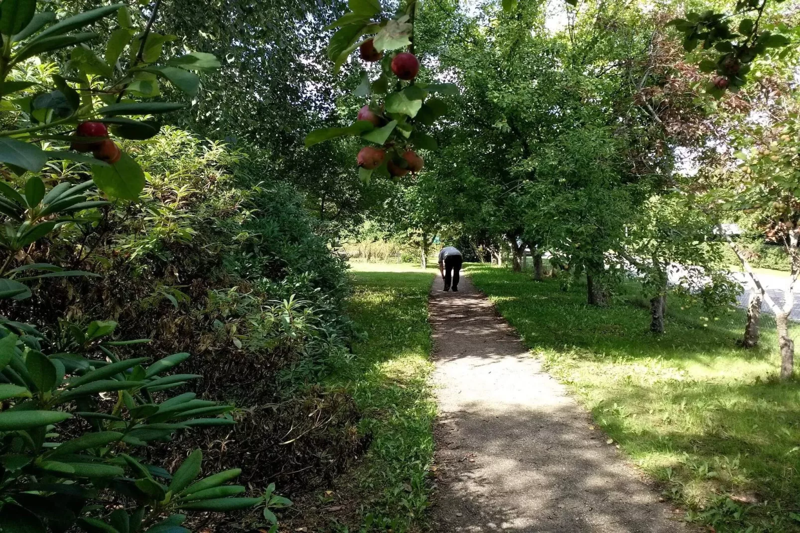 5 persoons vakantie huis in Sæby-By Traum-Niet-getagd