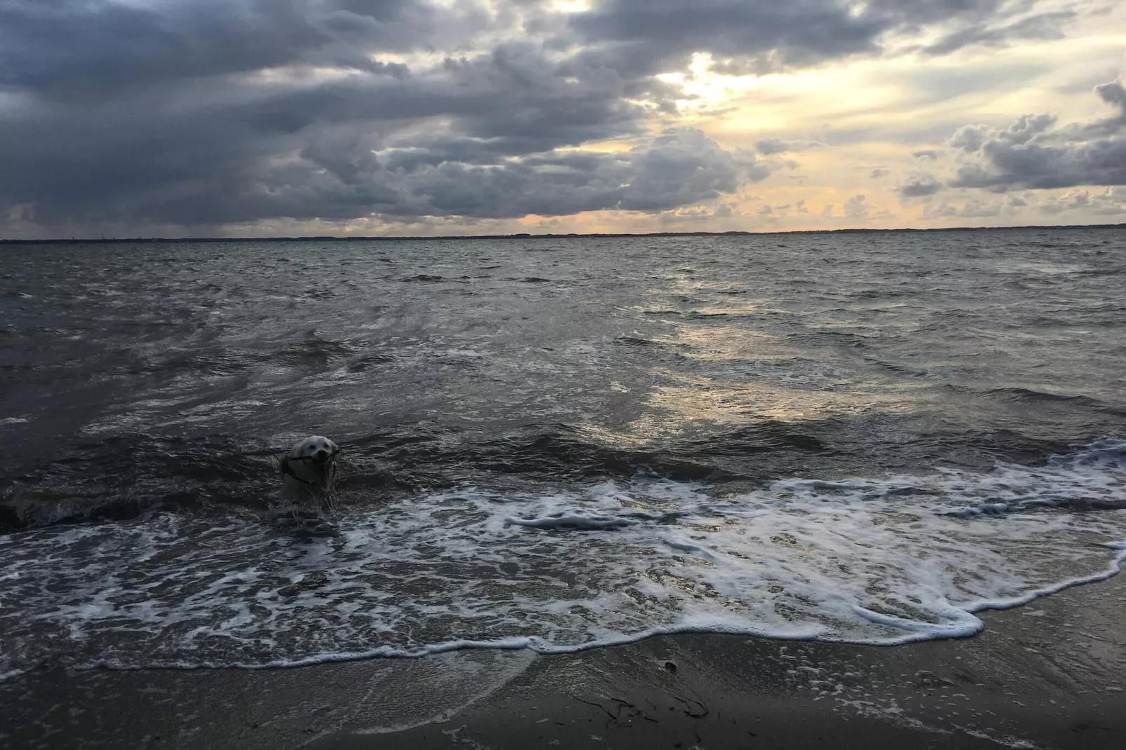 6 persoons vakantie huis in Vinderup-Waterzicht