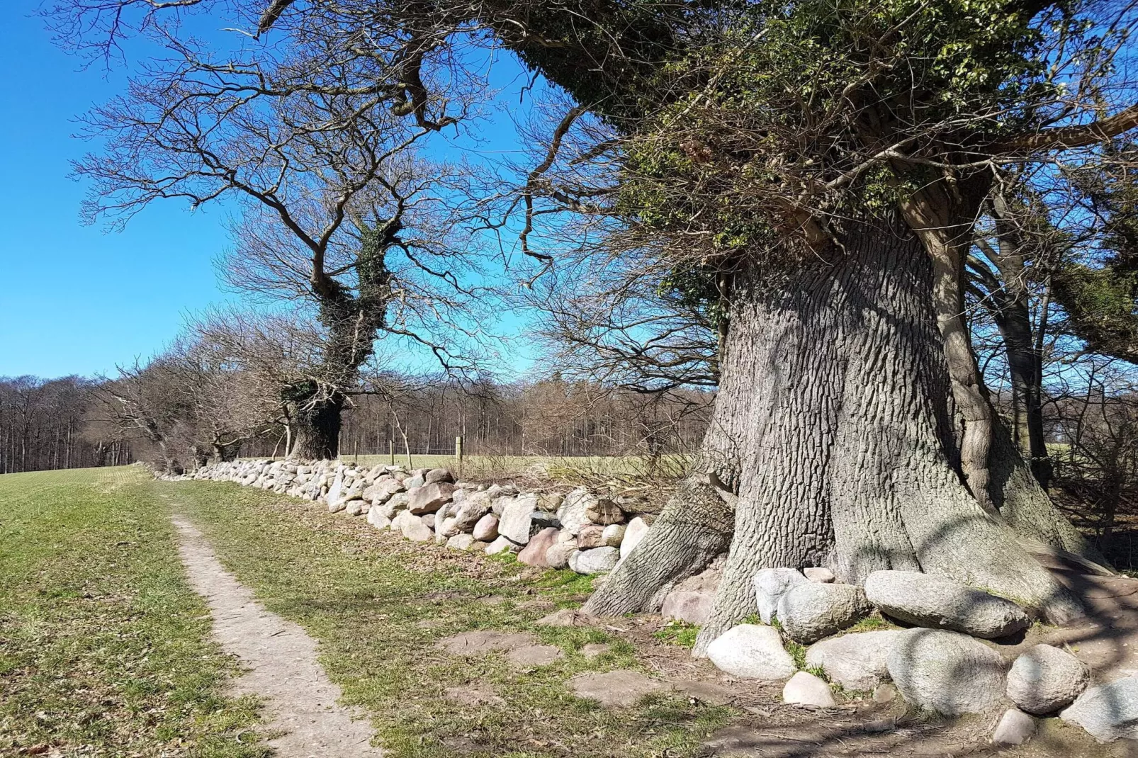 4 persoons vakantie huis in Vordingborg-By Traum-Niet-getagd