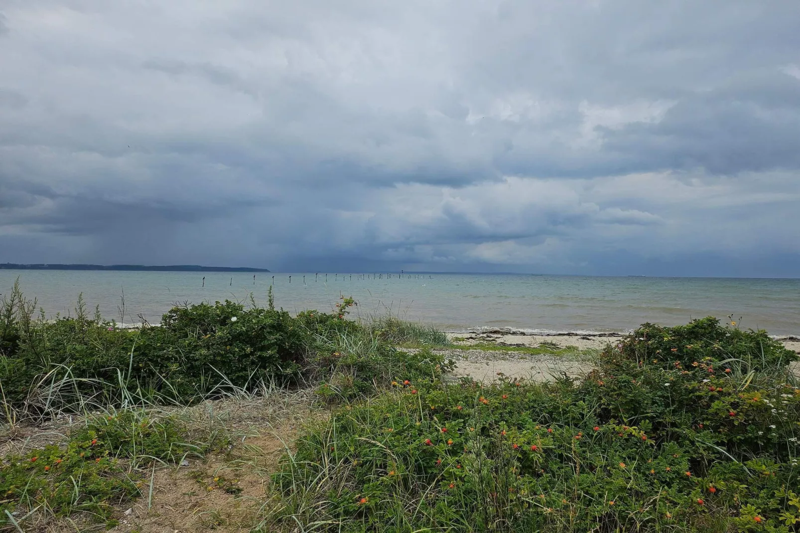 6 persoons vakantie huis in Brenderup Fyn-By Traum-Waterzicht