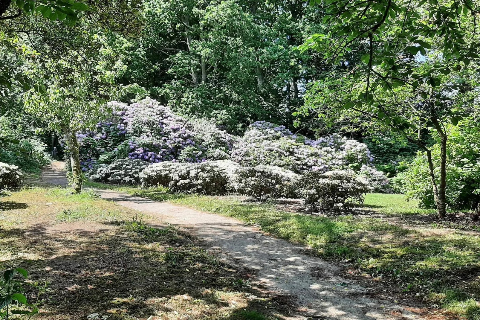 5 persoons vakantie huis in Sæby-By Traum-Niet-getagd