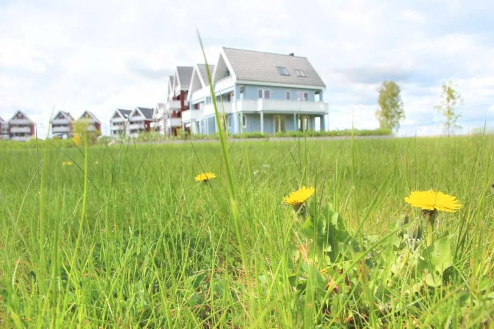 Kapitänsdeck 6 Pers 534-Buitenkant zomer