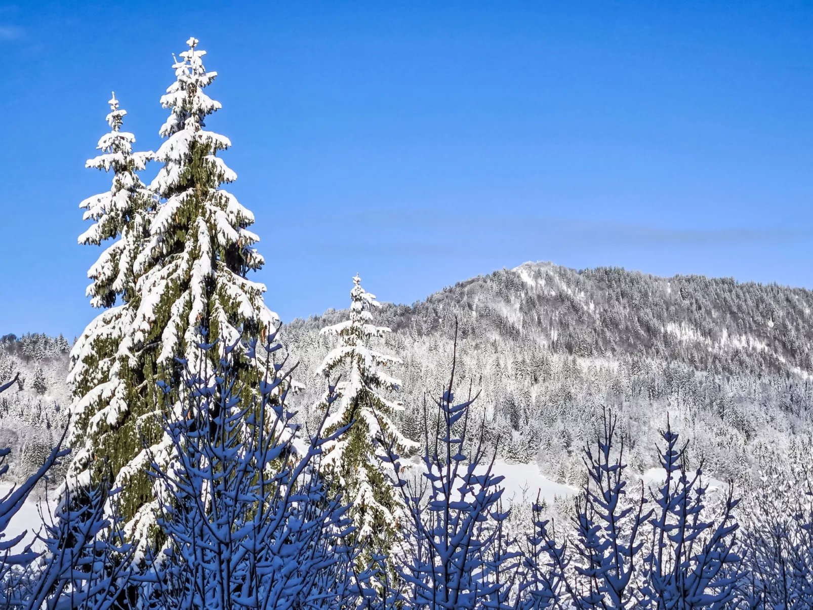Résidence des Montagnes-Omgeving