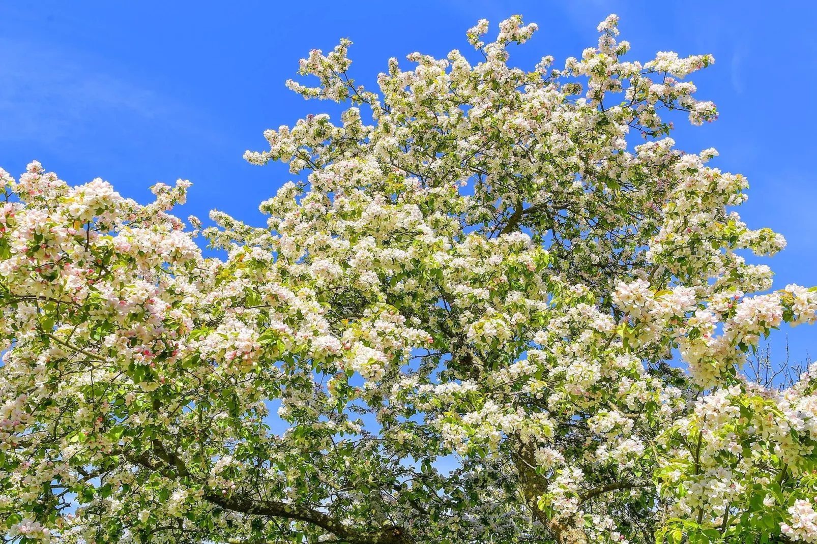 6 persoons vakantie huis in Sæby-By Traum-Niet-getagd