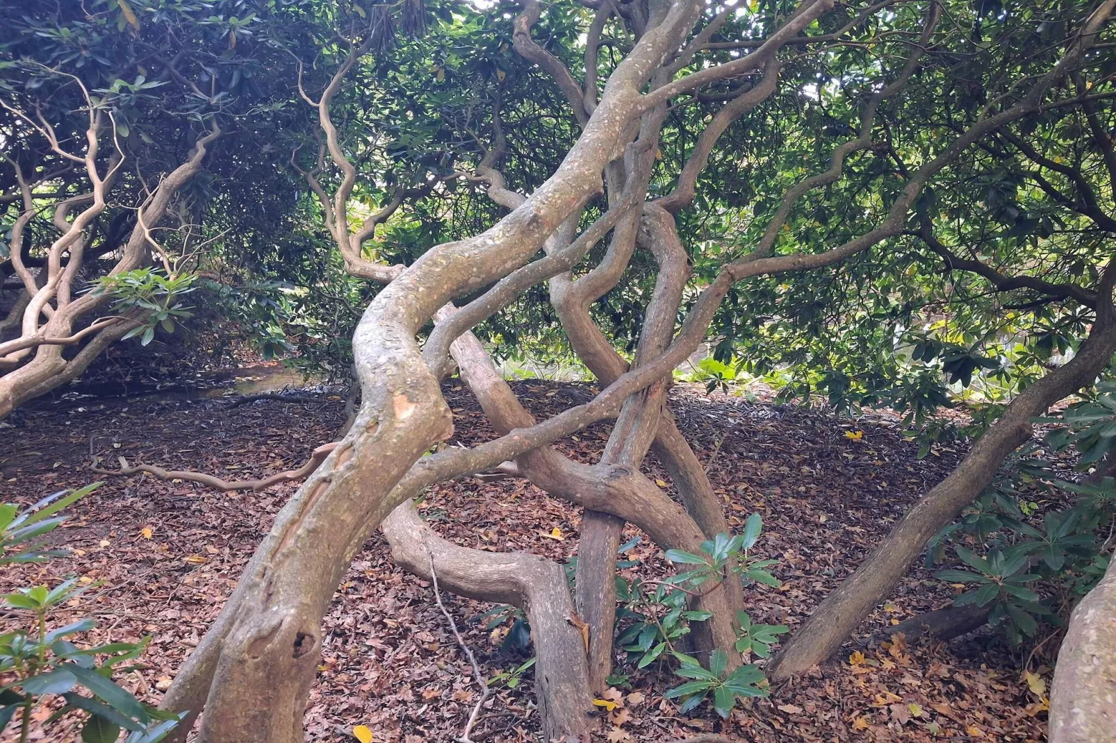 5 persoons vakantie huis in Sæby-By Traum-Niet-getagd