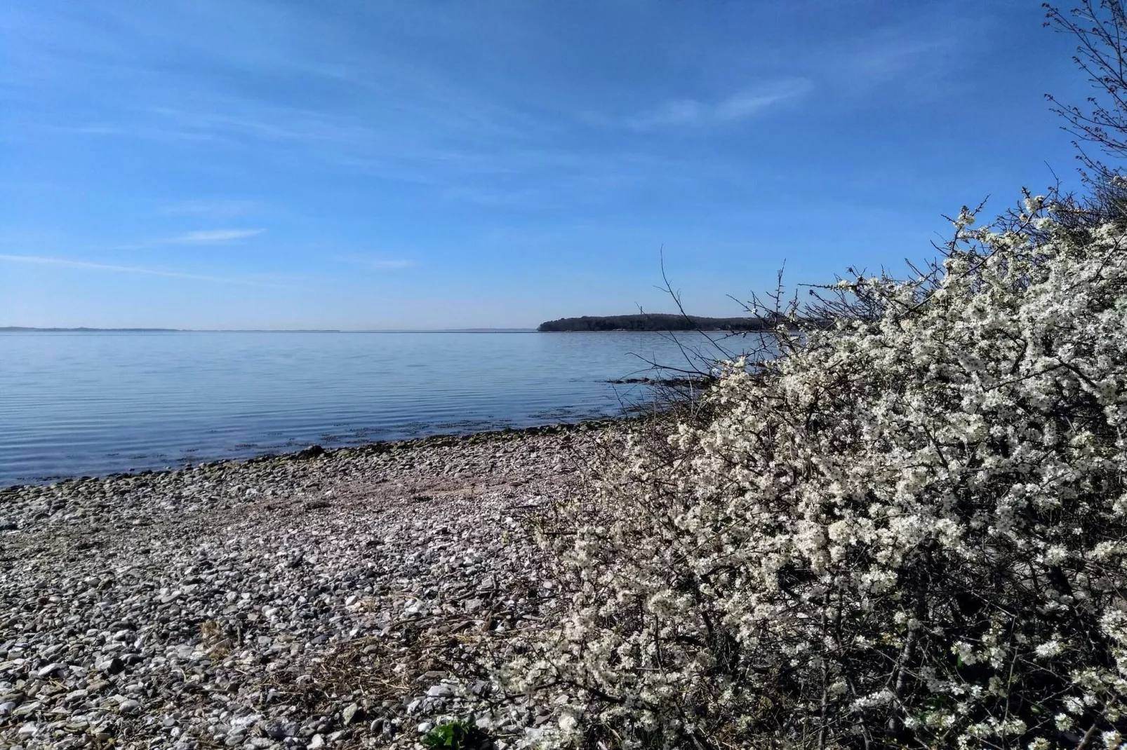 6 persoons vakantie huis in Rønde-By Traum-Waterzicht