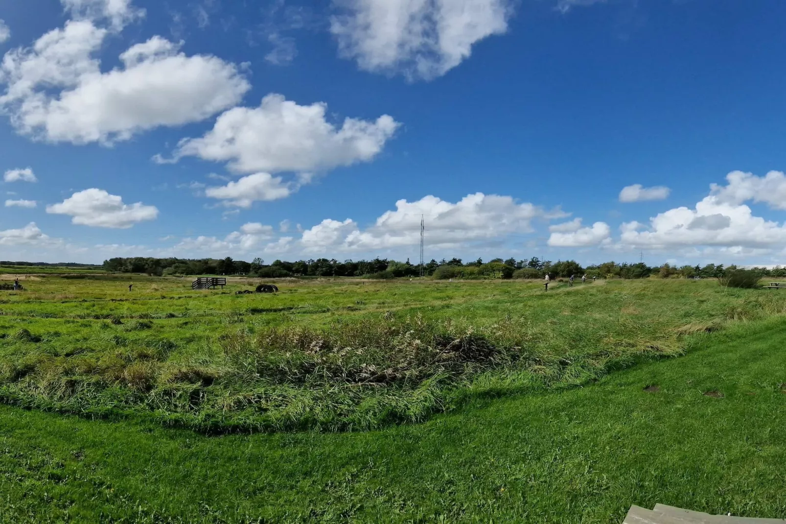 6 persoons vakantie huis in Oksbøl-By Traum-Niet-getagd