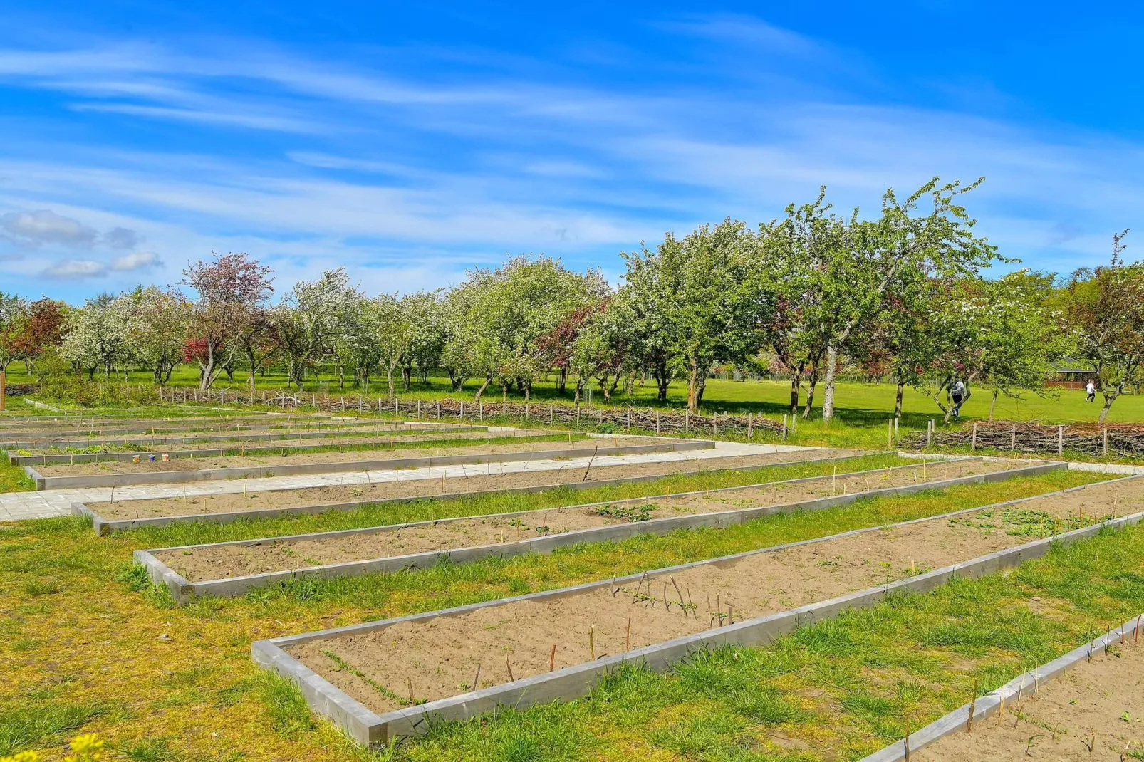6 persoons vakantie huis in Sæby-By Traum-Niet-getagd