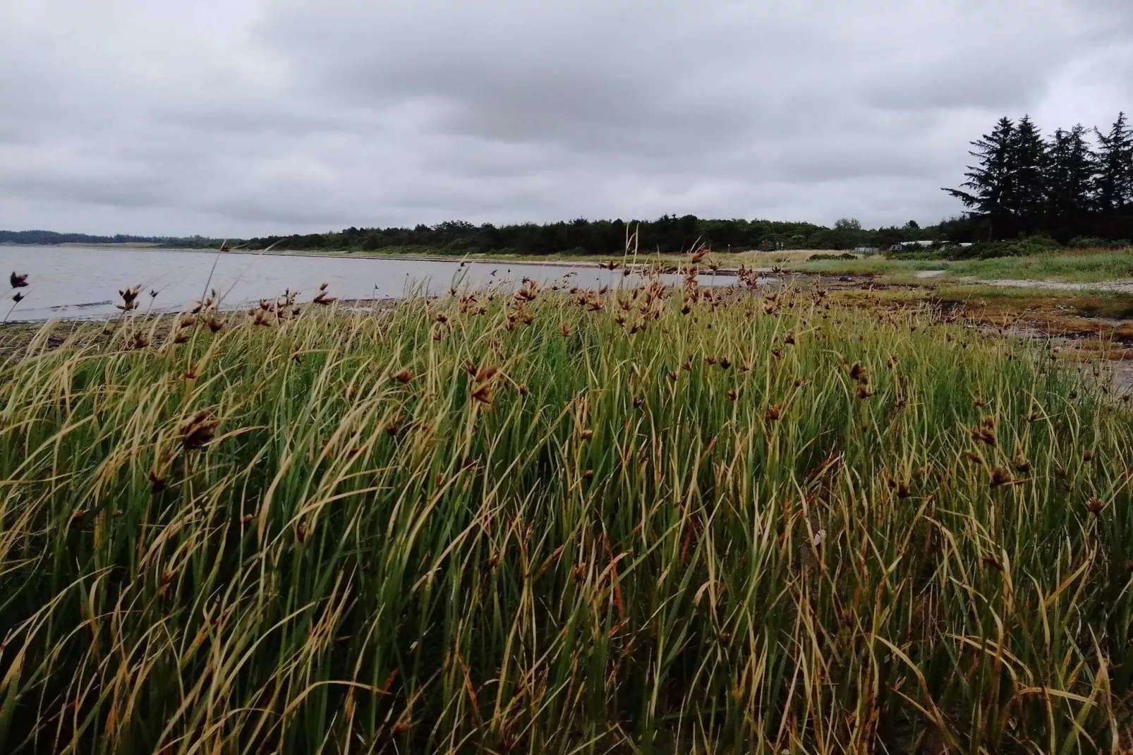 6 persoons vakantie huis in Farsø-By Traum-Waterzicht
