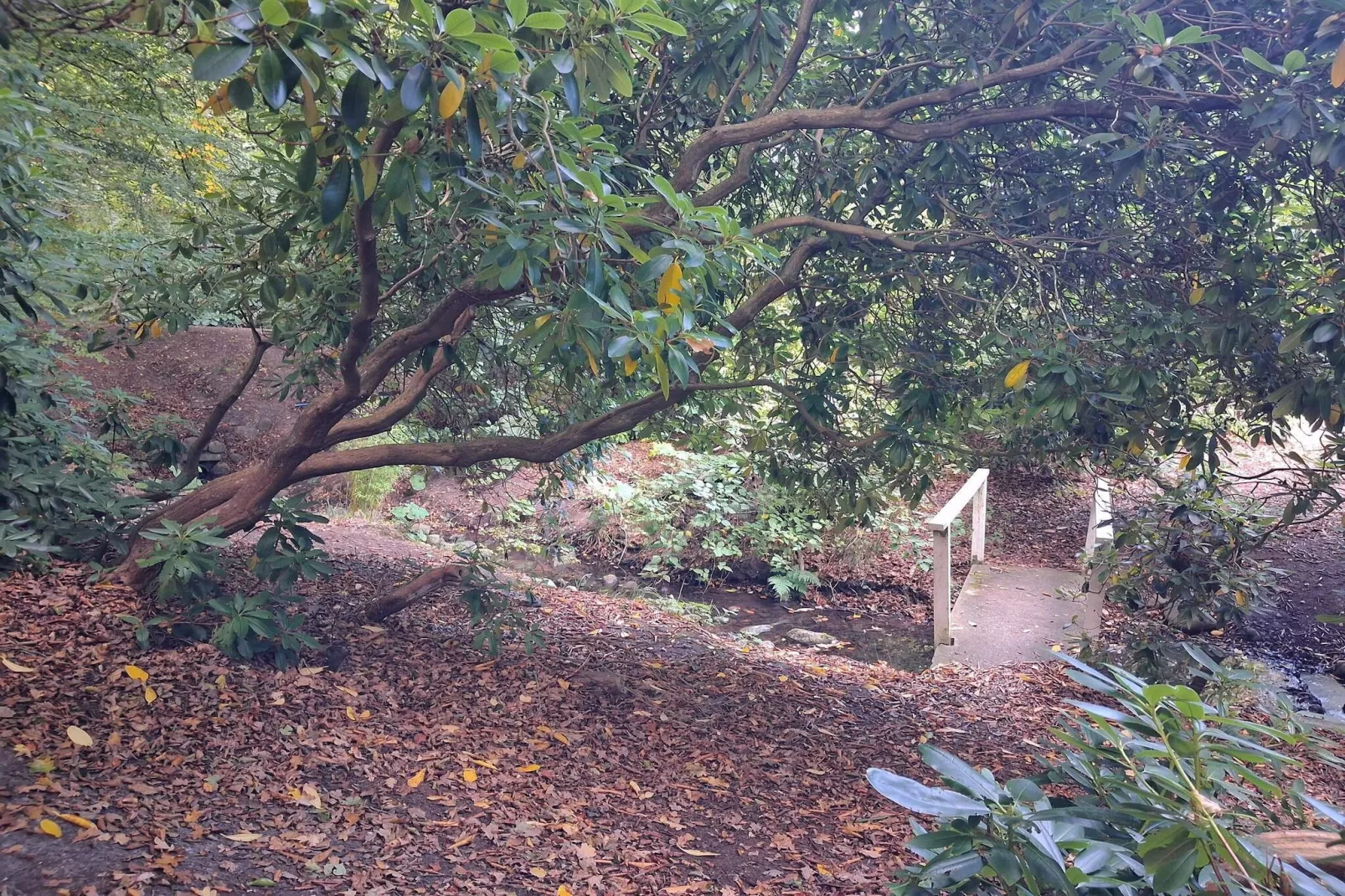 5 persoons vakantie huis in Sæby-By Traum-Niet-getagd