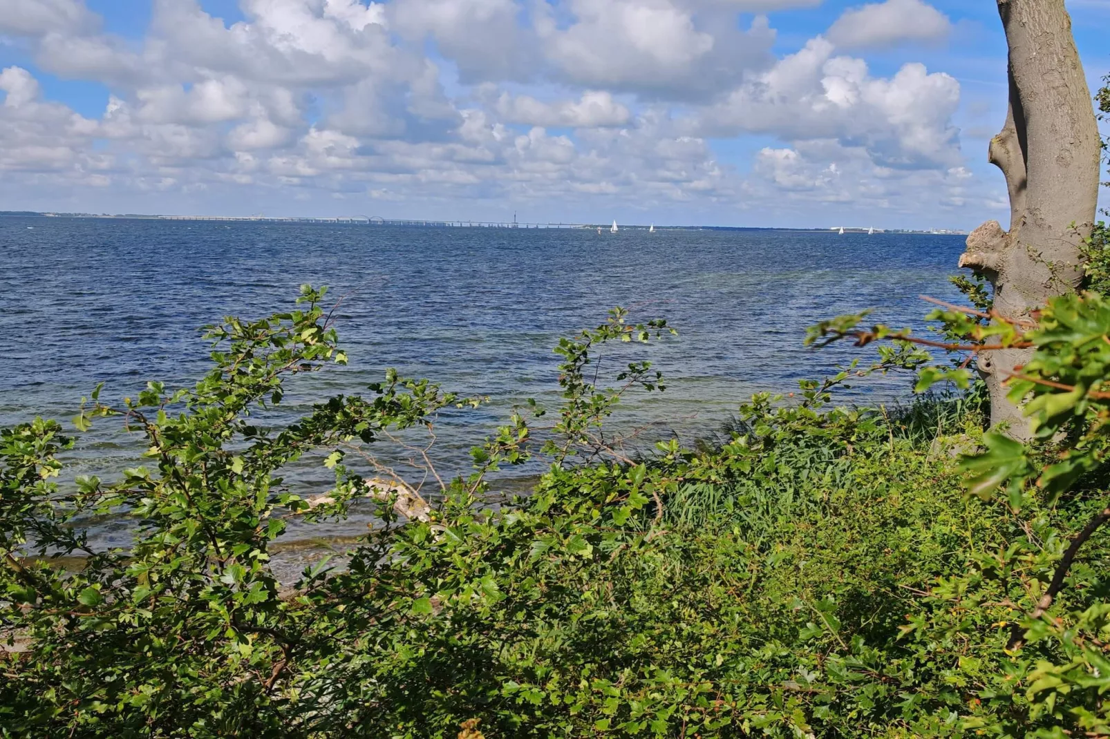 4 persoons vakantie huis in Vordingborg-By Traum-Waterzicht