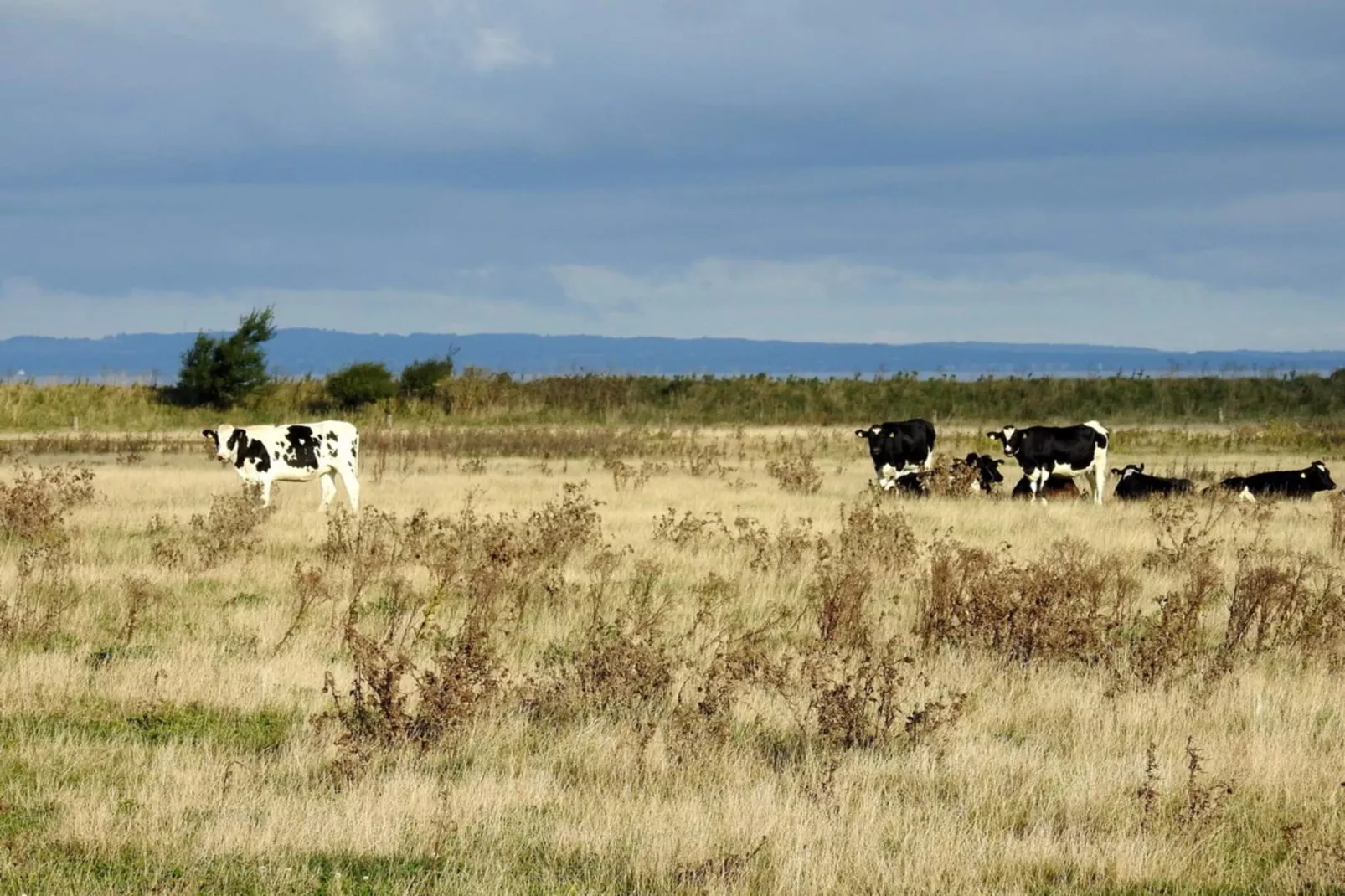 4 persoons vakantie huis in Bogense-By Traum-Waterzicht