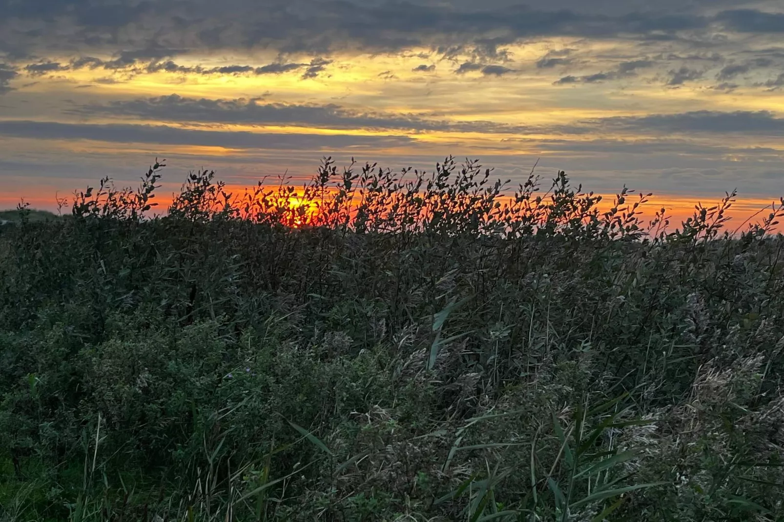 14 persoons vakantie huis in Ebeltoft-Waterzicht