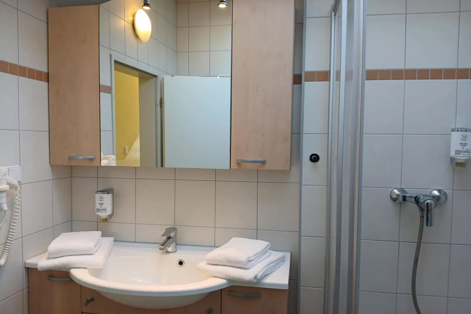 Eisvogel Classic 301-Badkamer