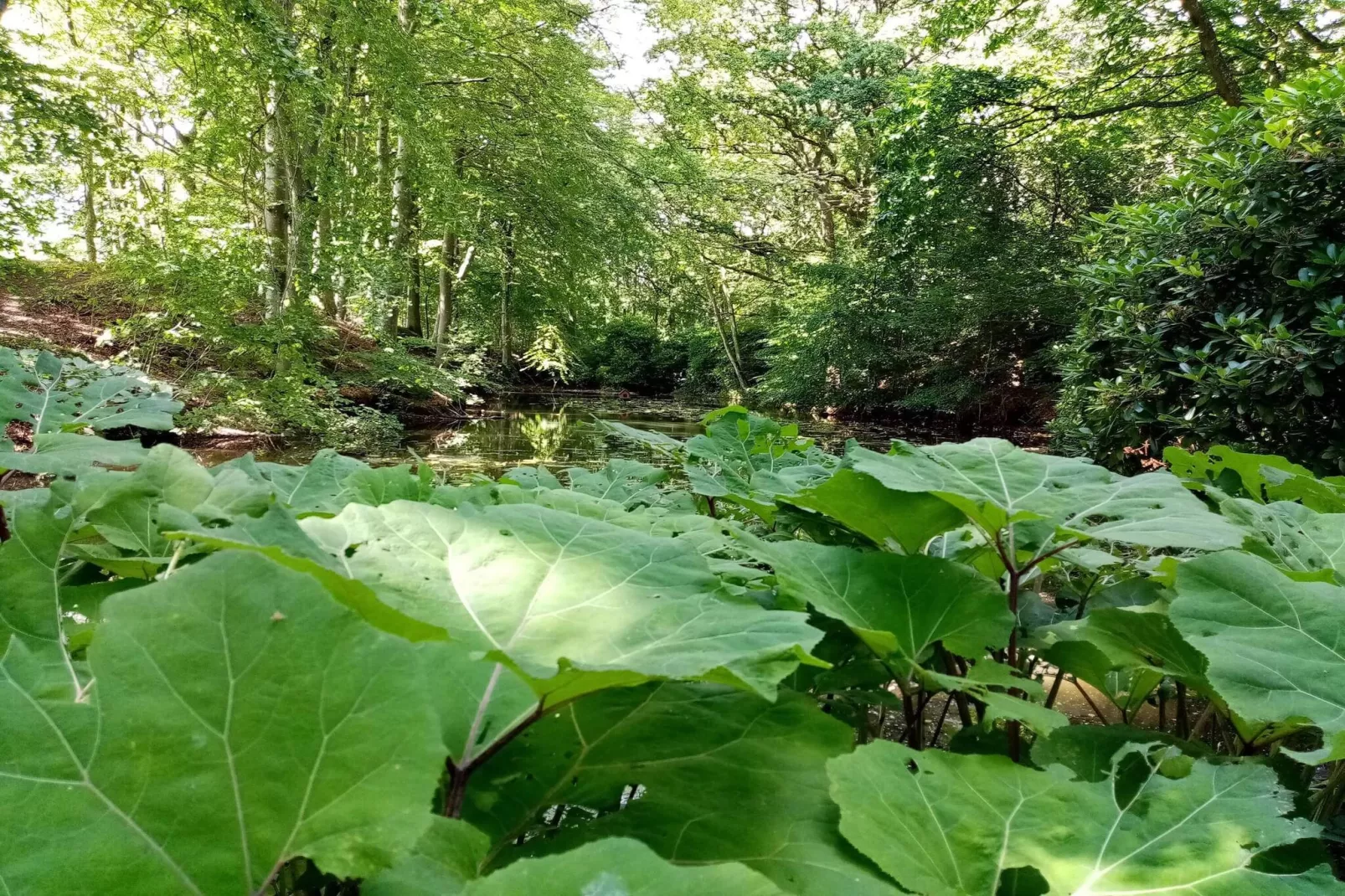 6 persoons vakantie huis in Sæby-By Traum-Niet-getagd