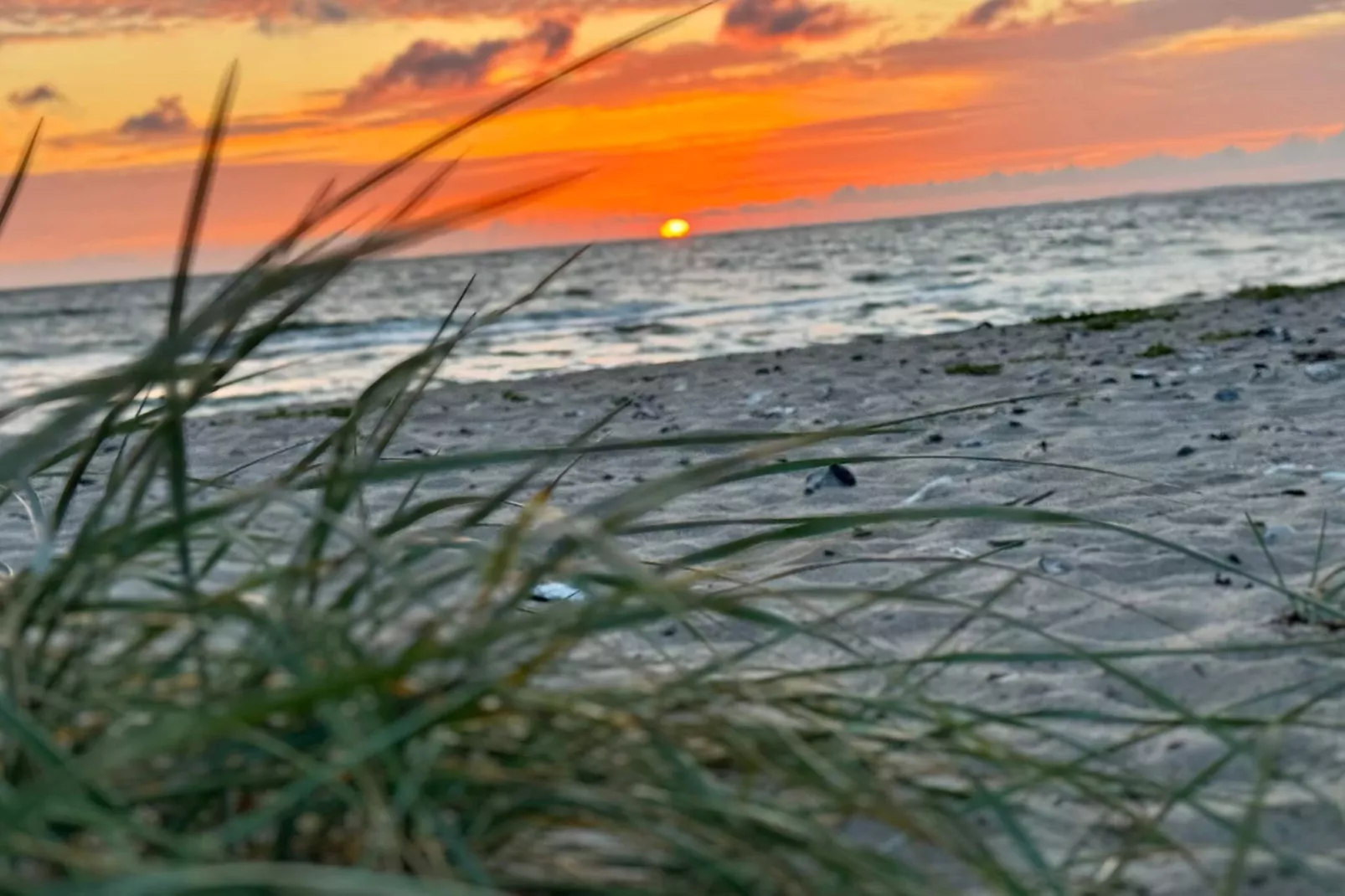 10 persoons vakantie huis in Ranum-Waterzicht